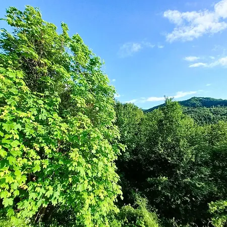 Σπίτι διακοπών Cool Natural Relax At Alive Home&garden *