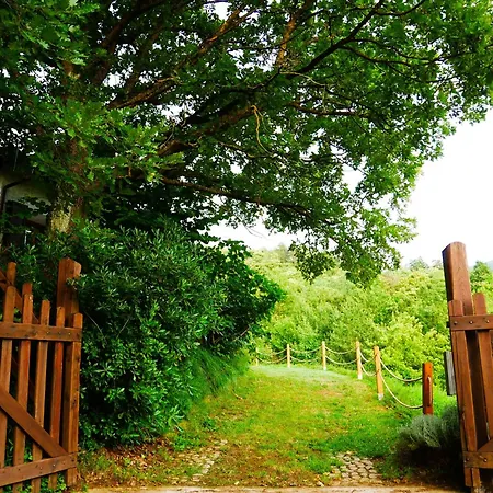 Cool Natural Relax At Alive Home&garden Дом отдыха Сасселло