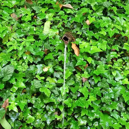 Cool Natural Relax At Alive Home&garden Sassello