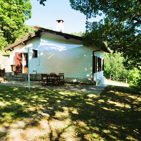 Cool Natural Relax - Alivé Home&Garden